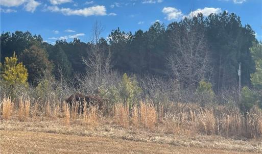 Photo #4 of 1222 Tempting Church, Sanford, NC 8.0 acres