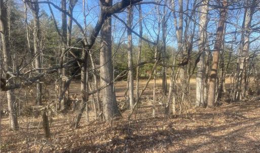 Photo #6 of 709 Brigham, Greensboro, NC 4.2 acres