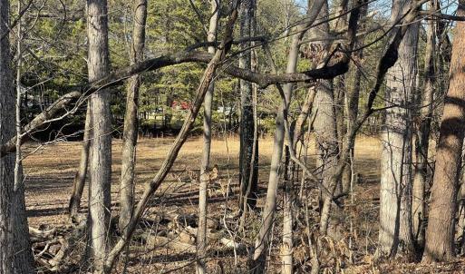 Photo #7 of 709 Brigham, Greensboro, NC 4.2 acres