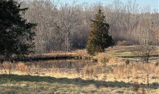Photo #7 of 1044 Yadkin Valley, Advance, NC 14.4 acres