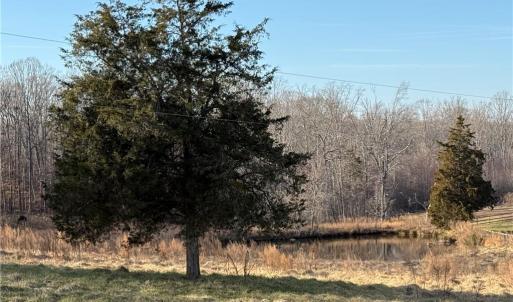 Photo #9 of 1044 Yadkin Valley, Advance, NC 14.4 acres