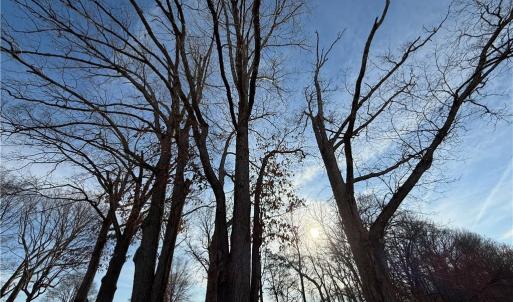 Photo #10 of 1044 Yadkin Valley, Advance, NC 14.4 acres