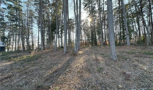 View from Sailor's Rest Drive