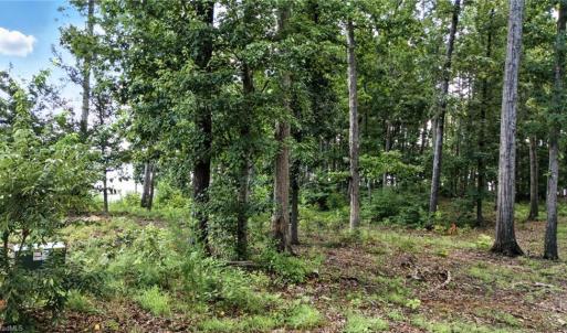 Photo #7 of 245 Sailors Rest, Lexington, NC 2.1 acres