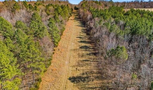 Photo #13 of Burgess Cattle, Siler City, NC 25.0 acres