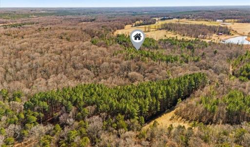 Photo #12 of Burgess Cattle, Siler City, NC 25.0 acres