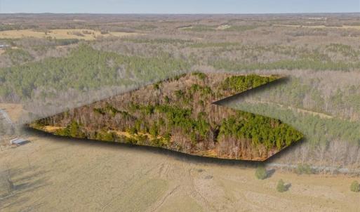 Photo #3 of Burgess Cattle, Siler City, NC 25.0 acres