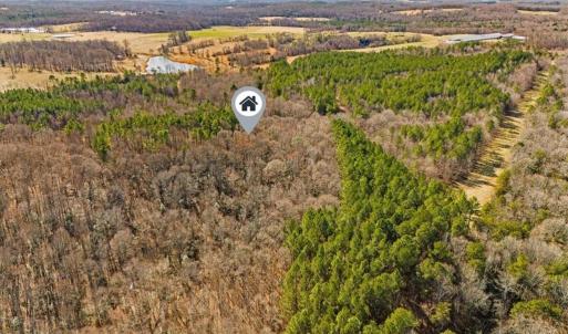 Photo #10 of Burgess Cattle, Siler City, NC 25.0 acres
