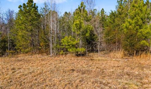 Photo #14 of Burgess Cattle, Siler City, NC 25.0 acres
