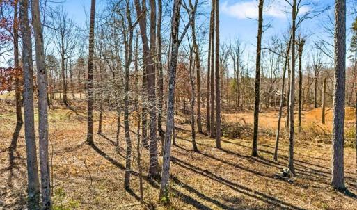 Photo #17 of 1001 Old Hickory, Summerfield, NC 1.1 acres