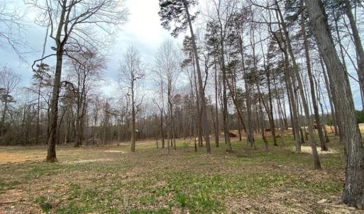Photo #20 of 1001 Old Hickory, Summerfield, NC 1.1 acres