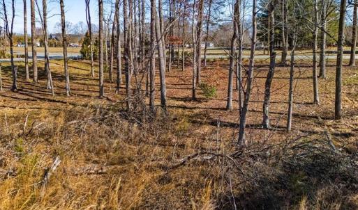 Photo #14 of 1001 Old Hickory, Summerfield, NC 1.1 acres