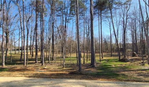 Photo #19 of 1001 Old Hickory, Summerfield, NC 1.1 acres