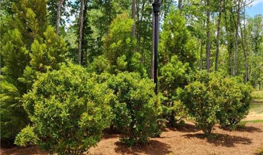 Photo #29 of 1001 Old Hickory, Summerfield, NC 1.1 acres