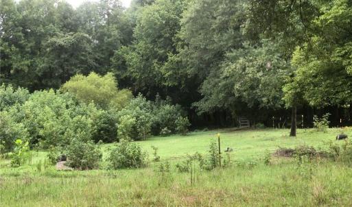 Photo #7 of 257 Willowlake, Greensboro, NC 22.0 acres