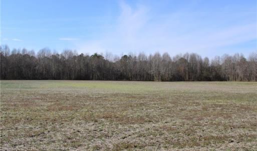Photo #2 of 959 Scott, Kenly, NC 35.0 acres