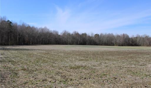 Photo #1 of 959 Scott, Kenly, NC 35.0 acres
