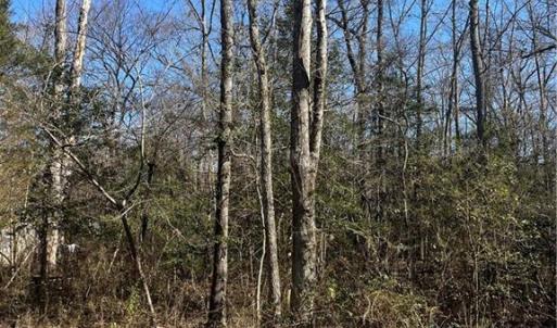 Photo #2 of Playground, Salisbury, NC 0.5 acres