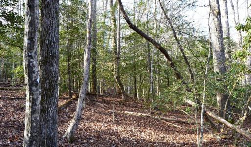 Photo #27 of NC Highway 89, Danbury, NC 160.0 acres