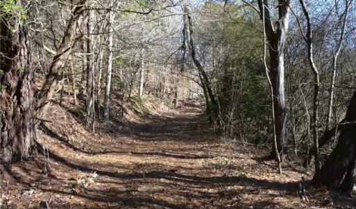 Photo #2 of NC Highway 89, Danbury, NC 160.0 acres