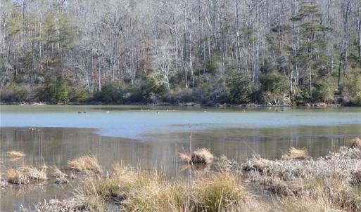 Photo #6 of NC Highway 89, Danbury, NC 160.0 acres