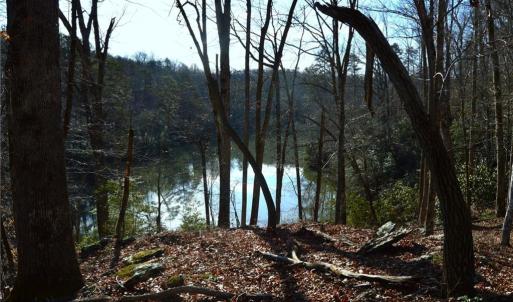 Photo #12 of NC Highway 89, Danbury, NC 160.0 acres