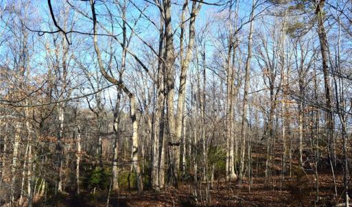 Photo #7 of NC Highway 89, Danbury, NC 160.0 acres