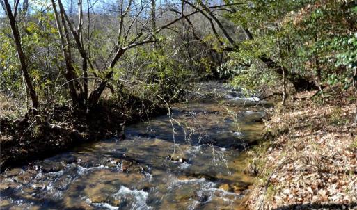 Photo #3 of NC Highway 89, Danbury, NC 160.0 acres