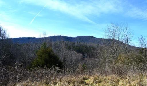 Photo #36 of NC Highway 89, Danbury, NC 160.0 acres
