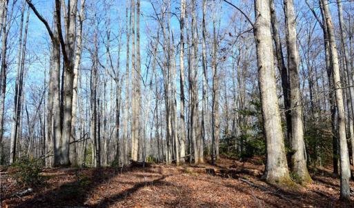 Photo #32 of NC Highway 89, Danbury, NC 160.0 acres