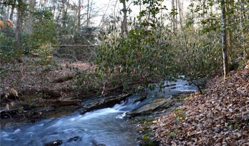 Photo #1 of NC Highway 89, Danbury, NC 160.0 acres