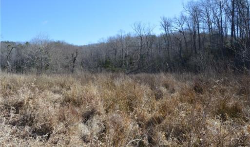 Photo #5 of NC Highway 89, Danbury, NC 160.0 acres