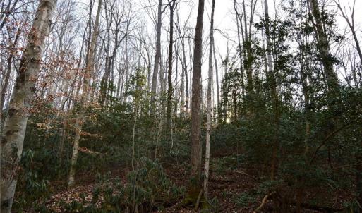 Photo #20 of NC Highway 89, Danbury, NC 160.0 acres