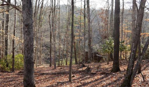 Photo #10 of NC Highway 89, Danbury, NC 160.0 acres