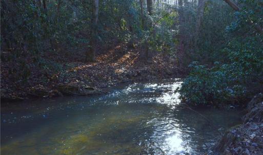 Photo #14 of NC Highway 89, Danbury, NC 160.0 acres