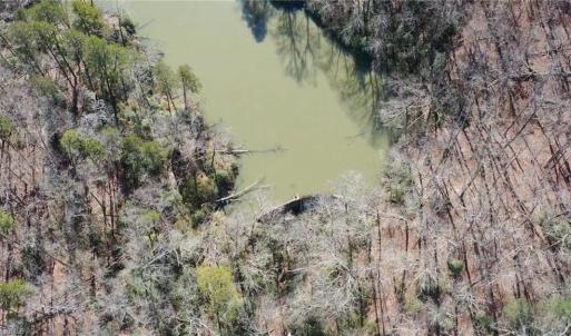 Photo #41 of NC Highway 89, Danbury, NC 160.0 acres
