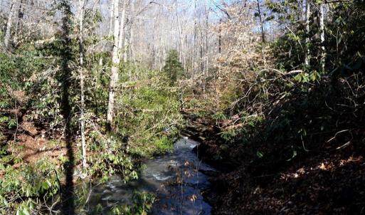 Photo #18 of NC Highway 89, Danbury, NC 160.0 acres