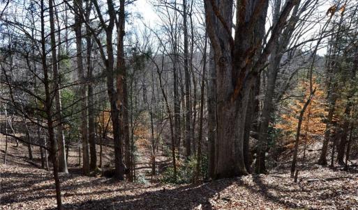 Photo #37 of NC Highway 89, Danbury, NC 160.0 acres