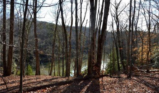Photo #11 of NC Highway 89, Danbury, NC 160.0 acres