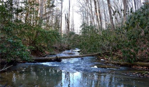 Photo #19 of NC Highway 89, Danbury, NC 160.0 acres