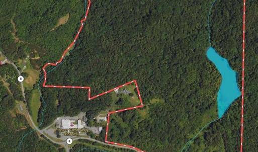 Photo #44 of NC Highway 89, Danbury, NC 160.0 acres