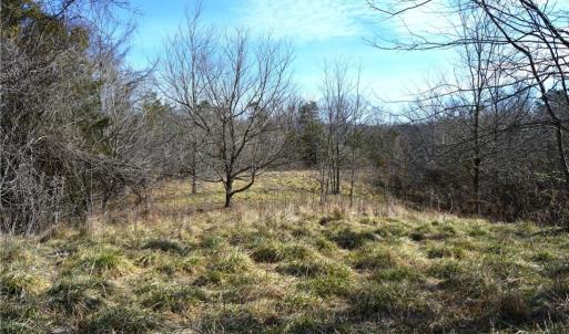 Photo #35 of NC Highway 89, Danbury, NC 160.0 acres