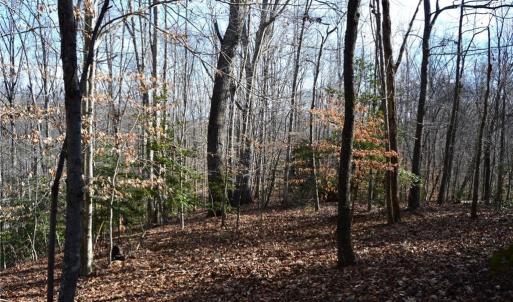 Photo #31 of NC Highway 89, Danbury, NC 160.0 acres