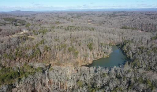 Photo #39 of NC Highway 89, Danbury, NC 160.0 acres