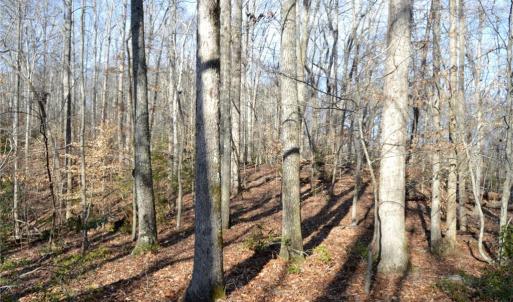 Photo #29 of NC Highway 89, Danbury, NC 160.0 acres