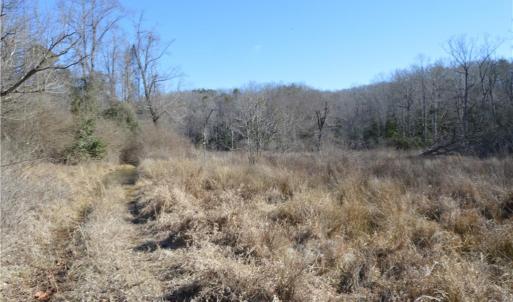 Photo #4 of NC Highway 89, Danbury, NC 160.0 acres