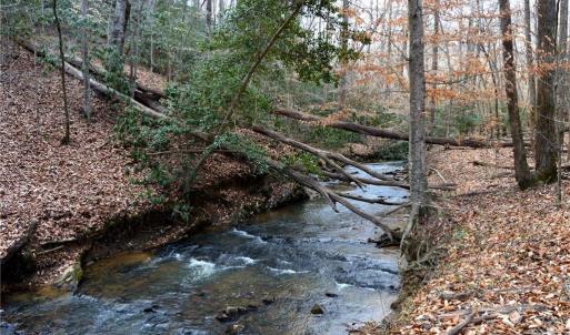 Photo #21 of NC Highway 89, Danbury, NC 160.0 acres
