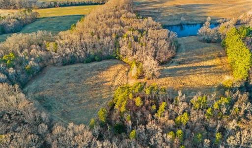 Photo #16 of Old Satterfield, Milton, NC 57.0 acres