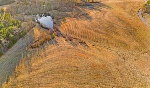 Photo #10 of Old Satterfield, Milton, NC 57.0 acres