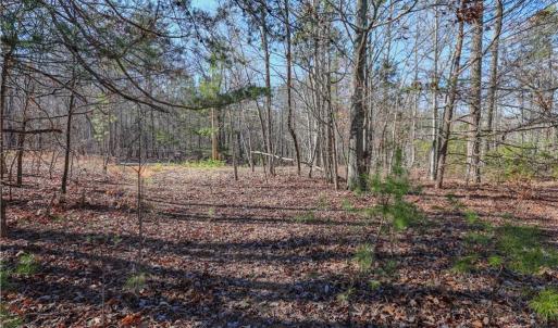 Photo #6 of 6355 Scott McDowell, Asheboro, NC 10.1 acres